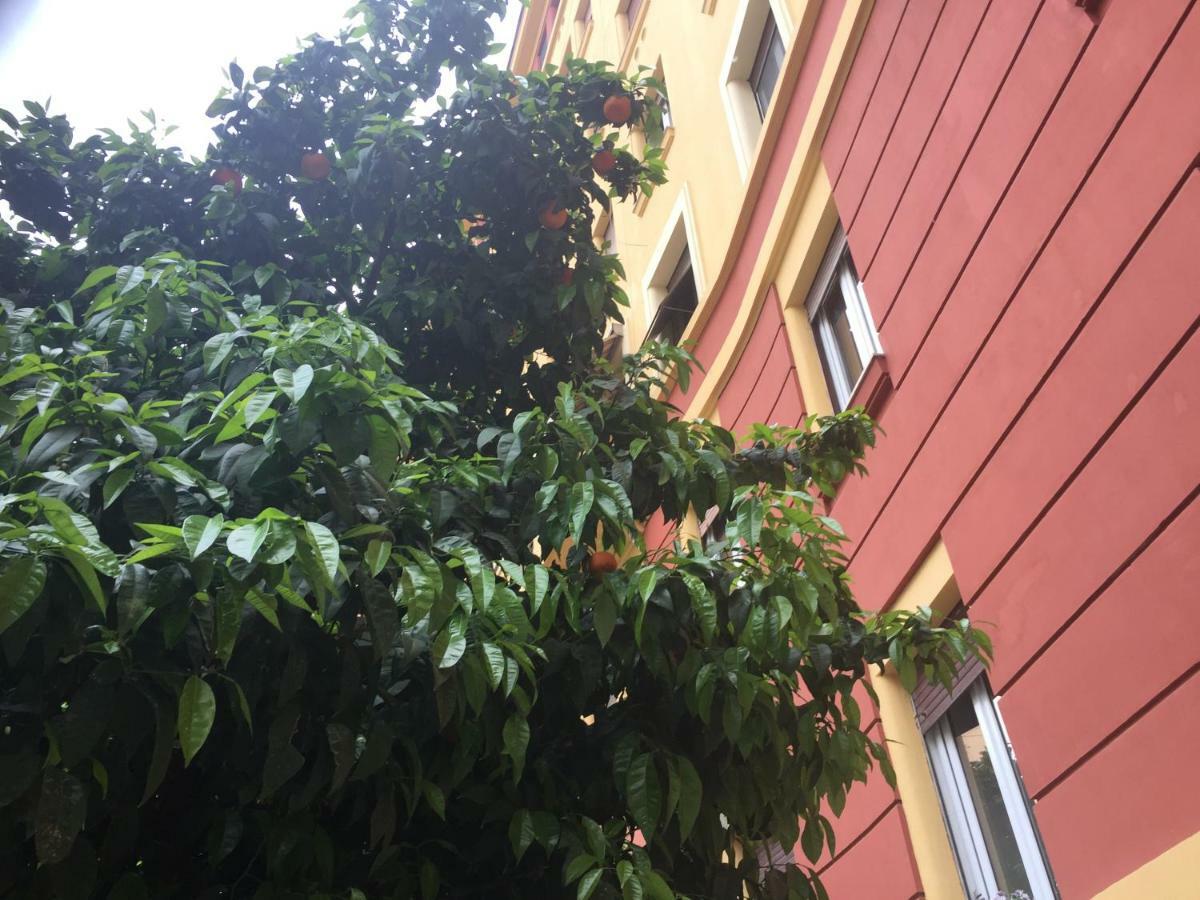 Casa Volver Roma Dış mekan fotoğraf